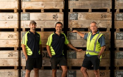 Growing the Future: One Family’s Plan for Kiwifruit Succession