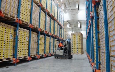 Industry collaboration recognised with FMG Sustainable Innovation Award